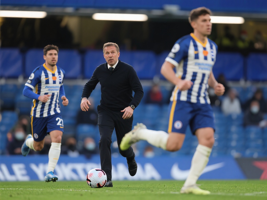 作为法国队 作为法国队